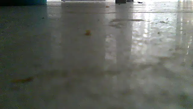 SirFrankonde live cam on StripChat