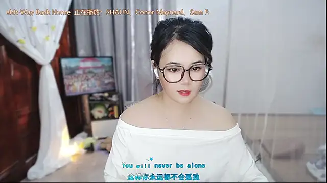 Fan_ting webcam