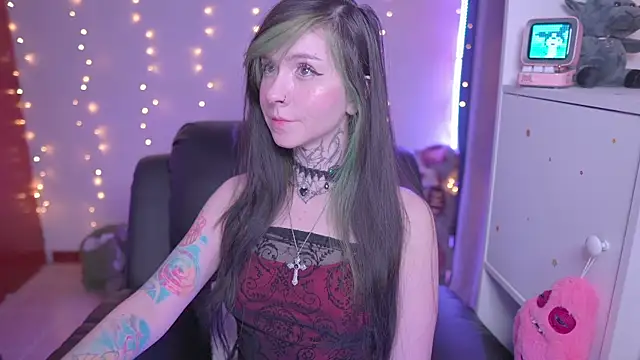 -VKatt webcam