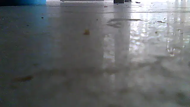 SirFrankonde webcam