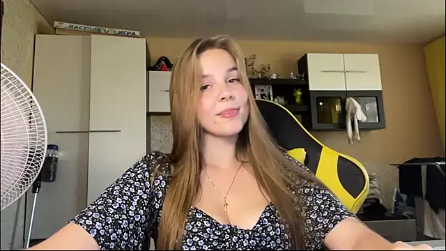 Peekinside webcam