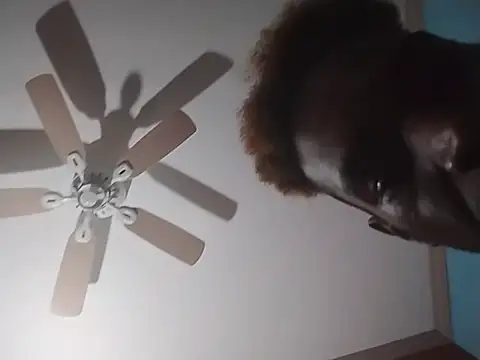 ReallyReallyReal webcam