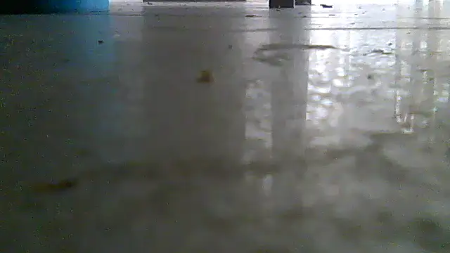 SirFrankonde webcam