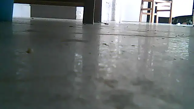 SirFrankonde webcam