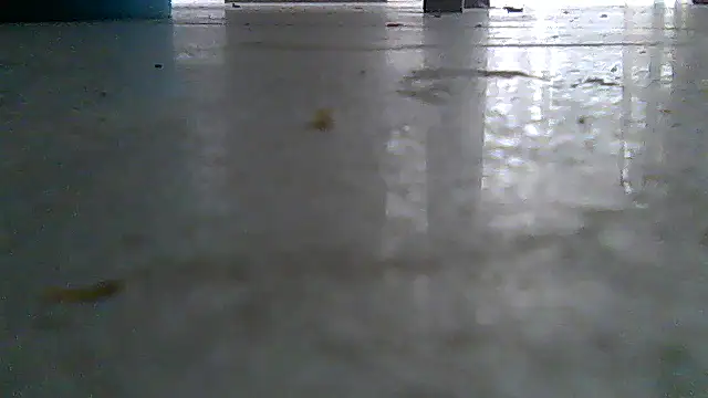 SirFrankonde webcam