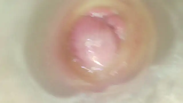 karol_stom live webcam show