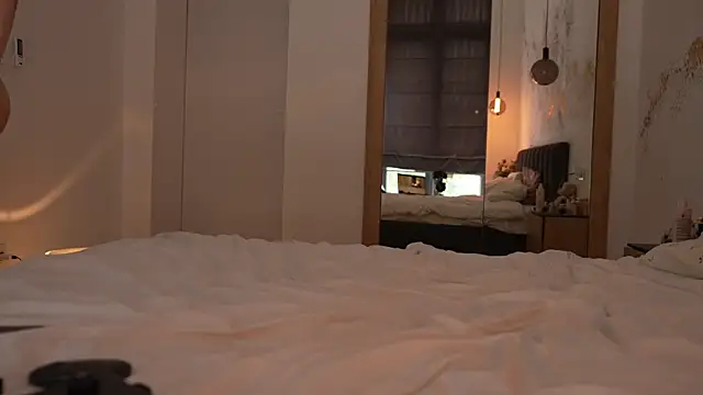 ibiddi webcam