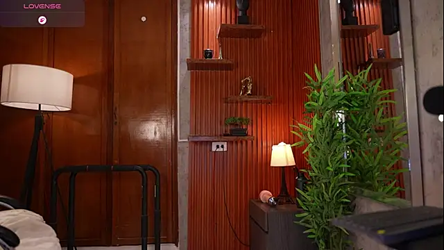 David_capizzi_ webcam