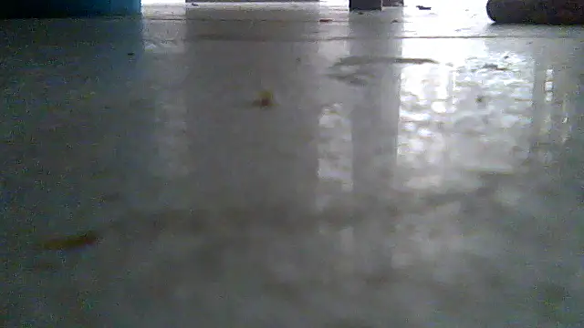 SirFrankonde webcam