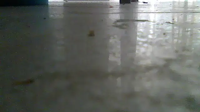 SirFrankonde webcam