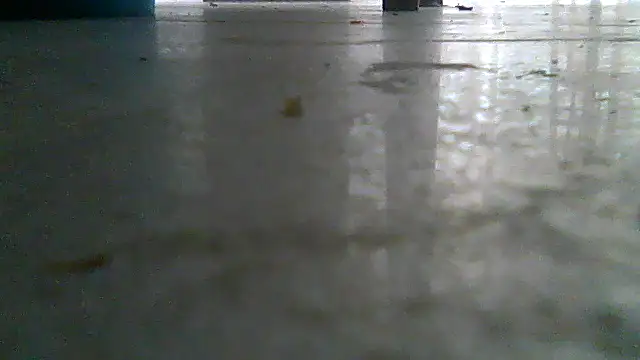 SirFrankonde webcam