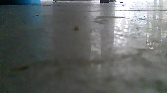 SirFrankonde webcam