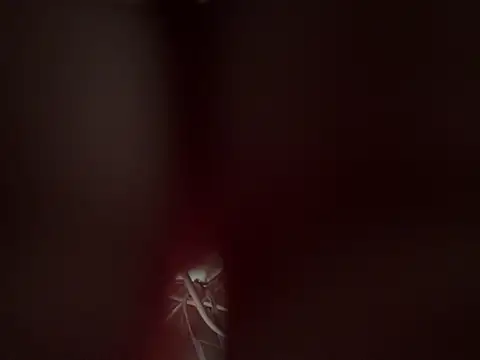 carapace31 live cam on StripChat