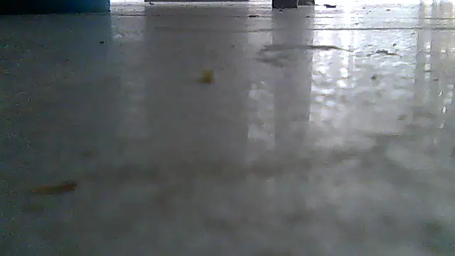 SirFrankonde webcam