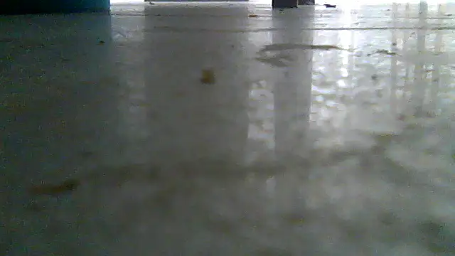 SirFrankonde webcam