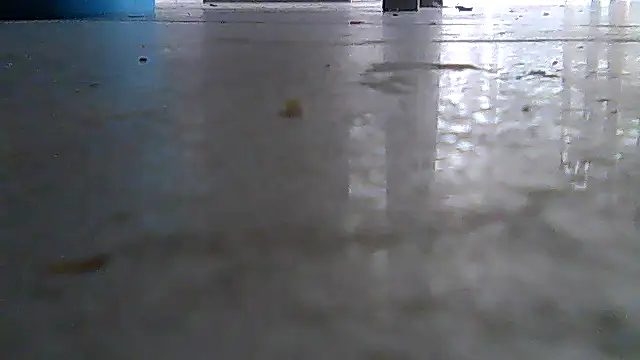 SirFrankonde webcam