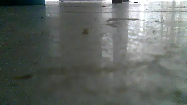 SirFrankonde webcam