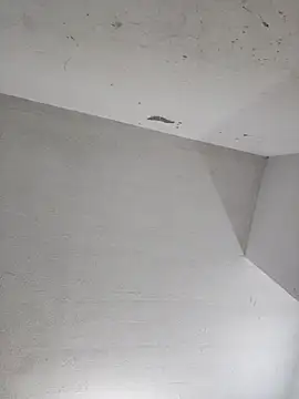 lunaywolfgray webcam