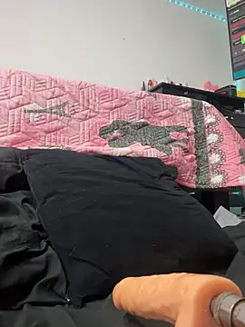 Pamela23x webcam