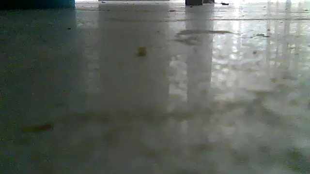 SirFrankonde webcam
