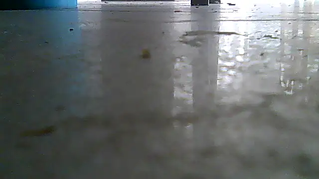 SirFrankonde webcam