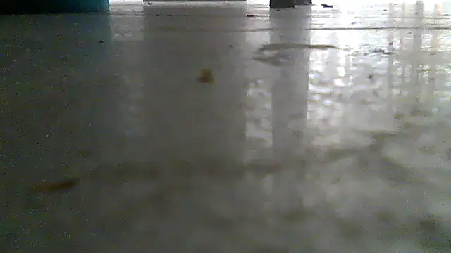 SirFrankonde webcam
