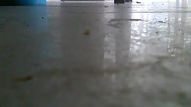 SirFrankonde webcam