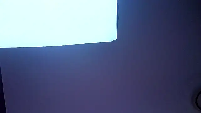 PerryKitty webcam