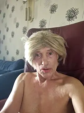 Snarfjes webcam