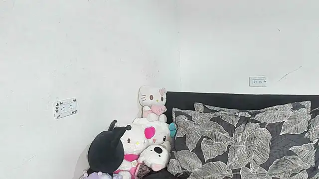 Eirlysx webcam