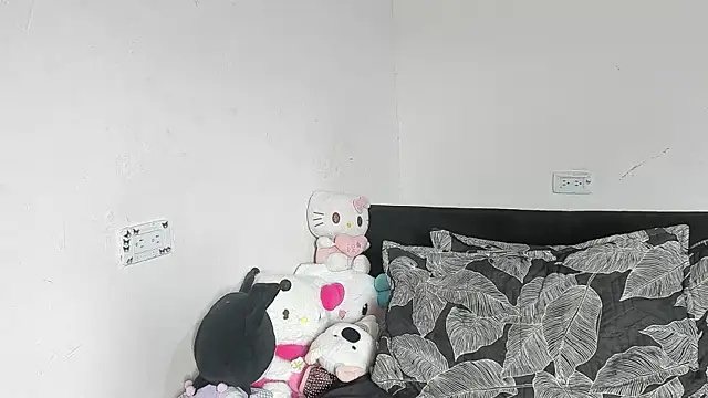Eirlysx webcam