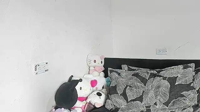 Eirlysx webcam