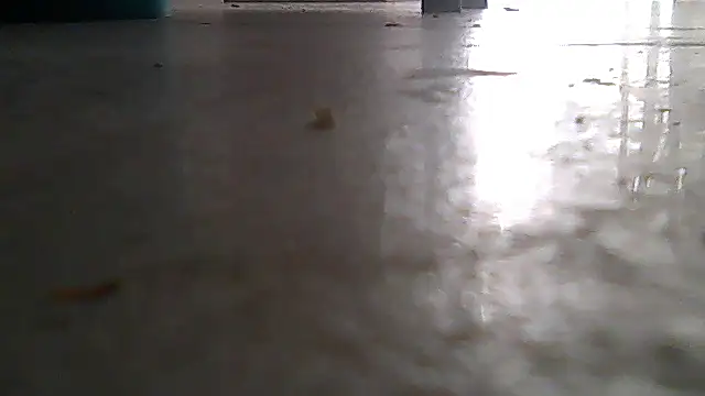 SirFrankonde webcam