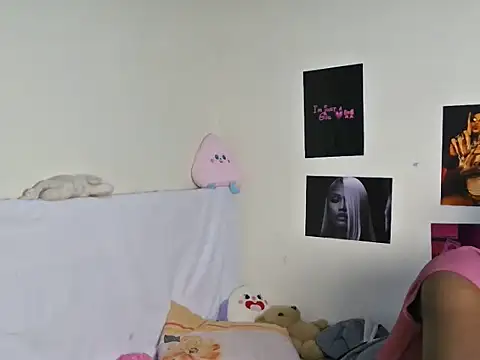 Aria_ah webcam