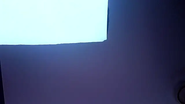 PerryKitty webcam