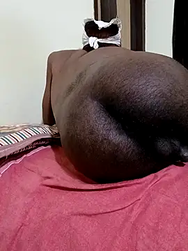 Chocolate_stud10 webcam