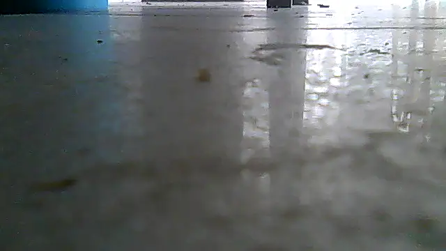 SirFrankonde webcam