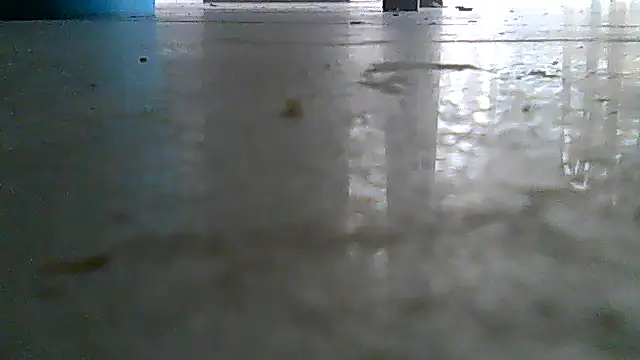 SirFrankonde webcam