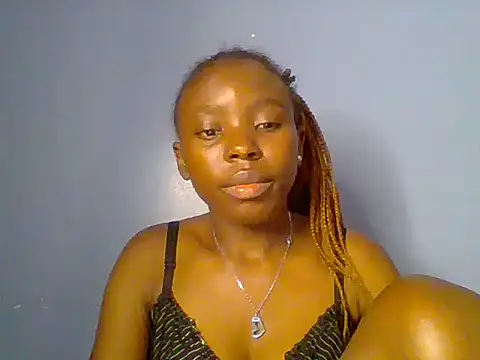 Chocolate-brownie webcam