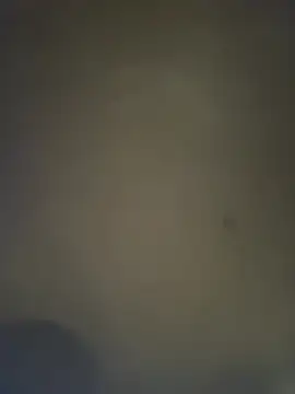 Gordo1206 webcam