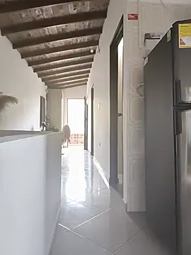 ale_cam webcam