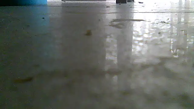 SirFrankonde webcam