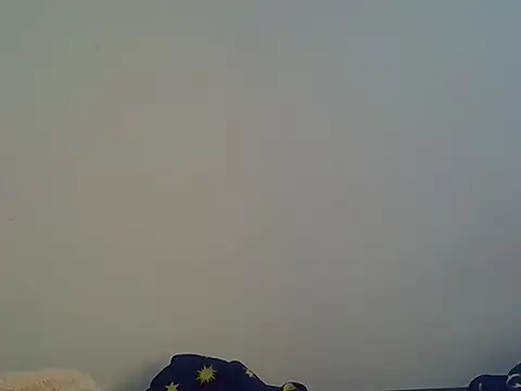 Spicybobolishia_ webcam