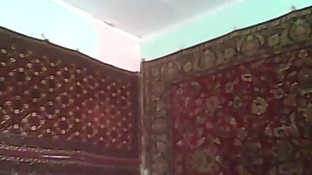 A1B3- webcam