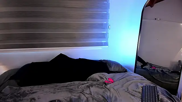 MERIDA_TAYLOR webcam