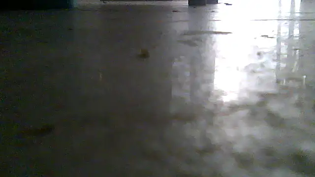 SirFrankonde webcam