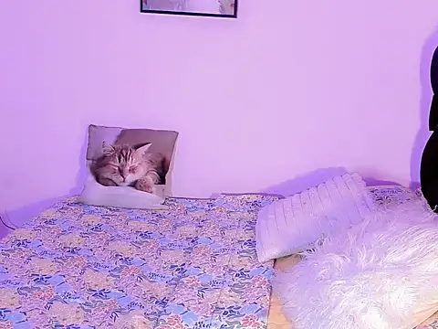 Hugemonsterblack webcam