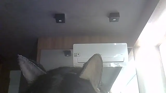 SkinnyKitten live cam