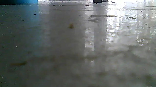 SirFrankonde webcam
