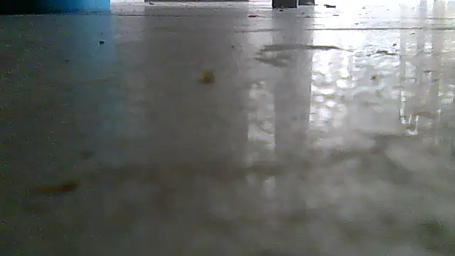 SirFrankonde webcam